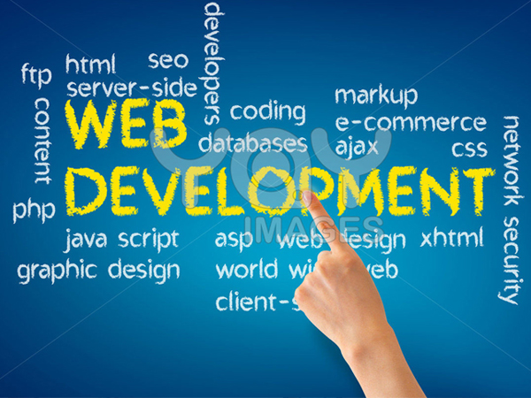 Website Application Development